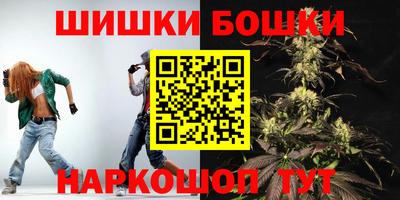 крисы Пенза