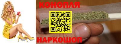 крисы Пенза