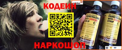 крисы Пенза