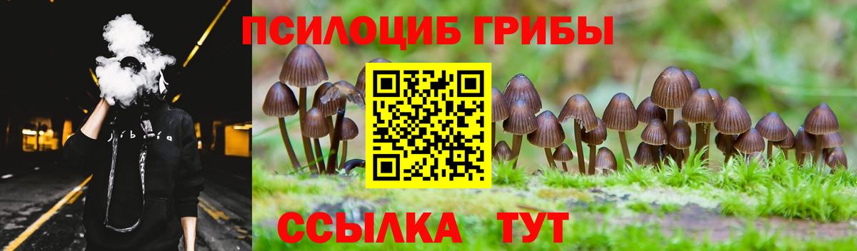 Псилоцибиновые грибы мухоморы  Вход с VPN  Партизанск 